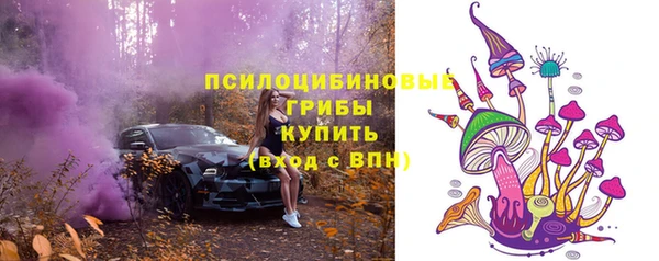 стафф Белоозёрский
