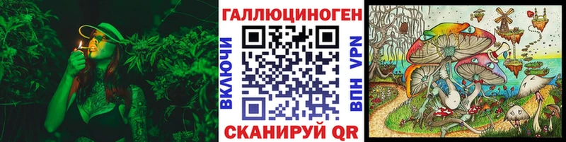 Галлюциногенные грибы Psilocybine cubensis  Кемерово 